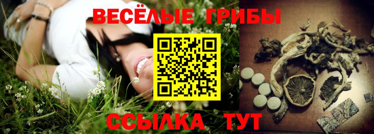 Галлюциногенные грибы Psilocybine cubensis Красногорск